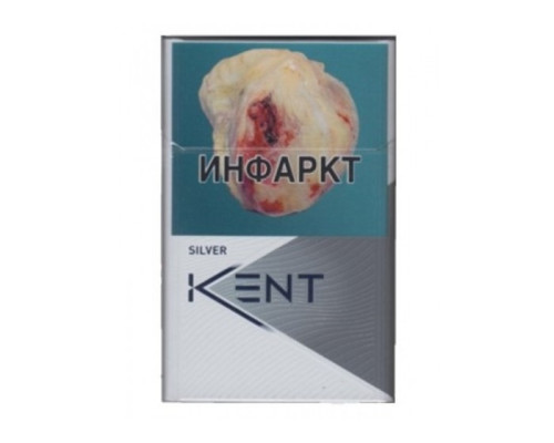Сигареты Kent №4 Silver